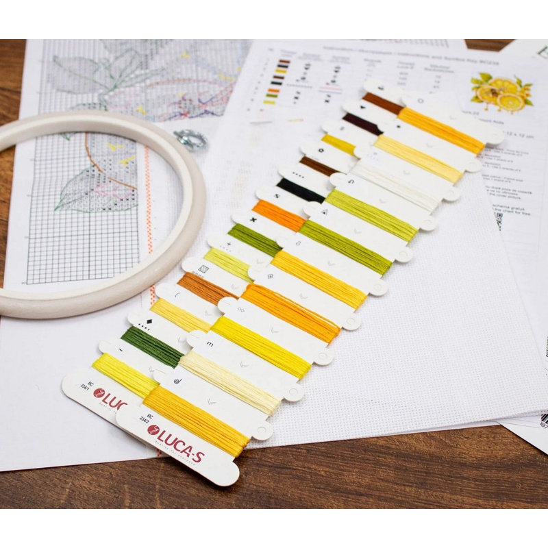Trousse de broderie au point de croix comptée « Jus de citron » avec tambour à broder par Luca-S BC234L