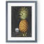« royal brookshaw pineapple i » par paul cezanne-reproduction d’art sur toile encadrée-1630607411-1630607412