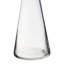 Metoyer Clear Glass 1L Carafe