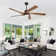 5 - ABS Blades Indoor Ceiling Fan with Light and Remote