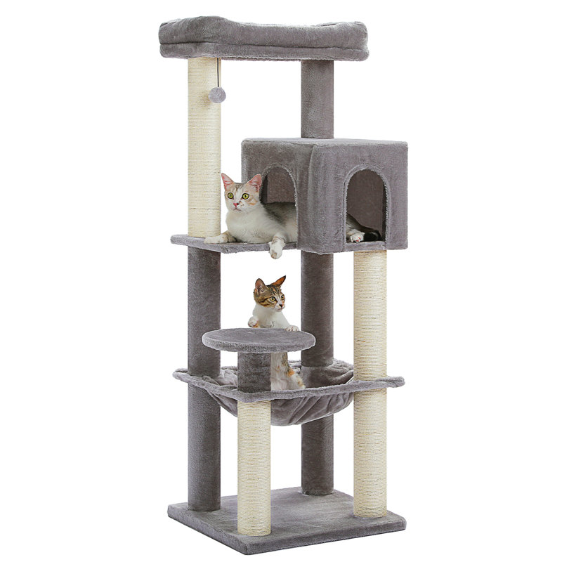 Arbre à chat, Gris clair