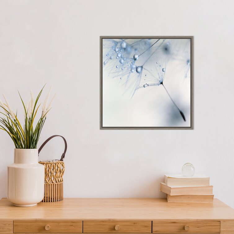 Baby Blue Dandelion Flower by Ingrid Beddoes - Floater Frame Graphic Art  Print on Canvas