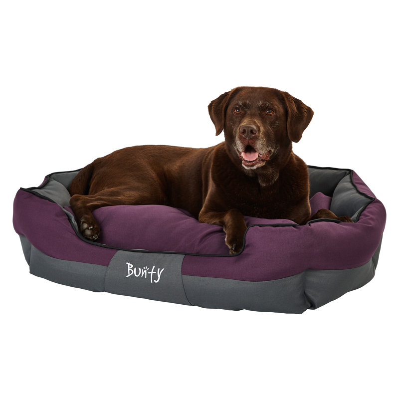 Levesque Polyester Pet Bed, 25cm H x 90cm W x 70cm D, Purple
