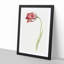 Pink Tulip Flower by Jean Bernard - Picture Frame Painting Print-55601138-55601142