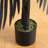 4Ft. Artificial Halloween Black Golden Cane Tree