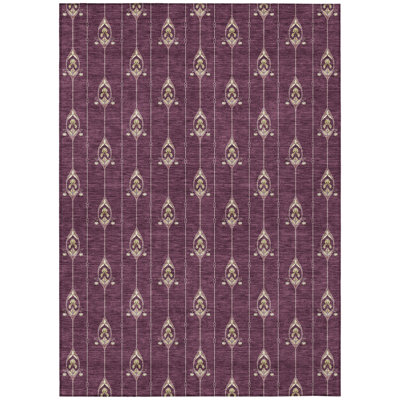 Machine Washable Indoor/Outdoor Chantille ACN2691 Kids Rug