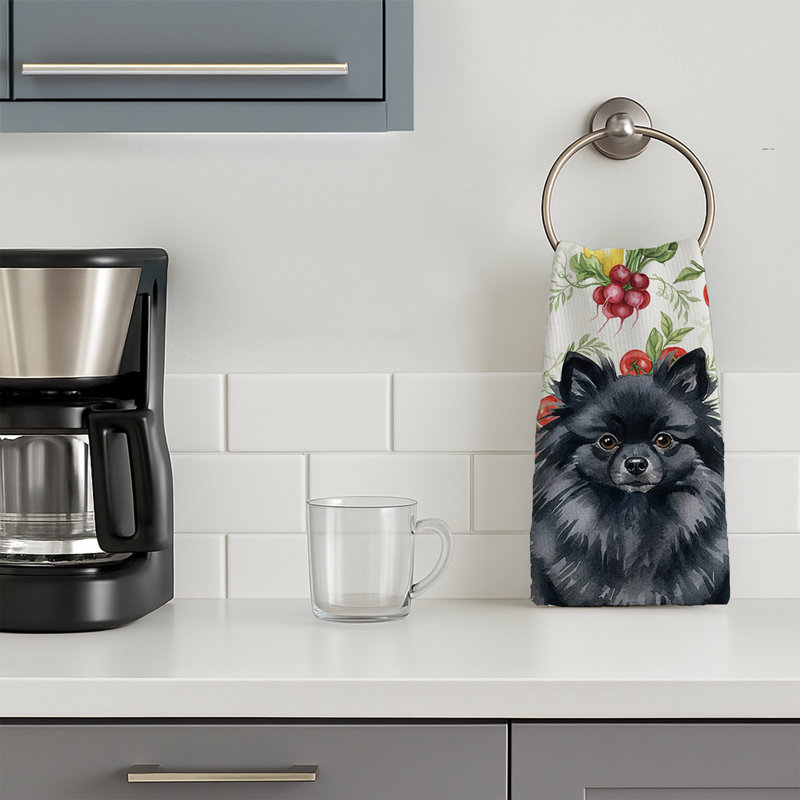 Torchon noir Poméranien, Black Pomeranian