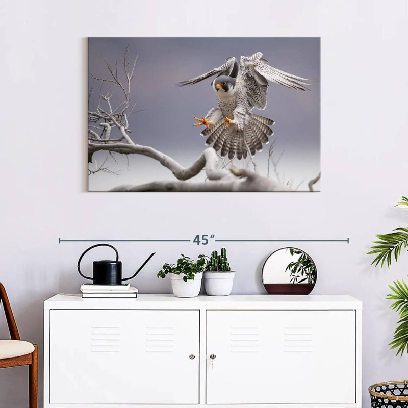 Peregrine Falcon, 24" H x 36" W