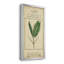Linnaean Botany IV - Peinture sur toile encadrée-249167257-249167255