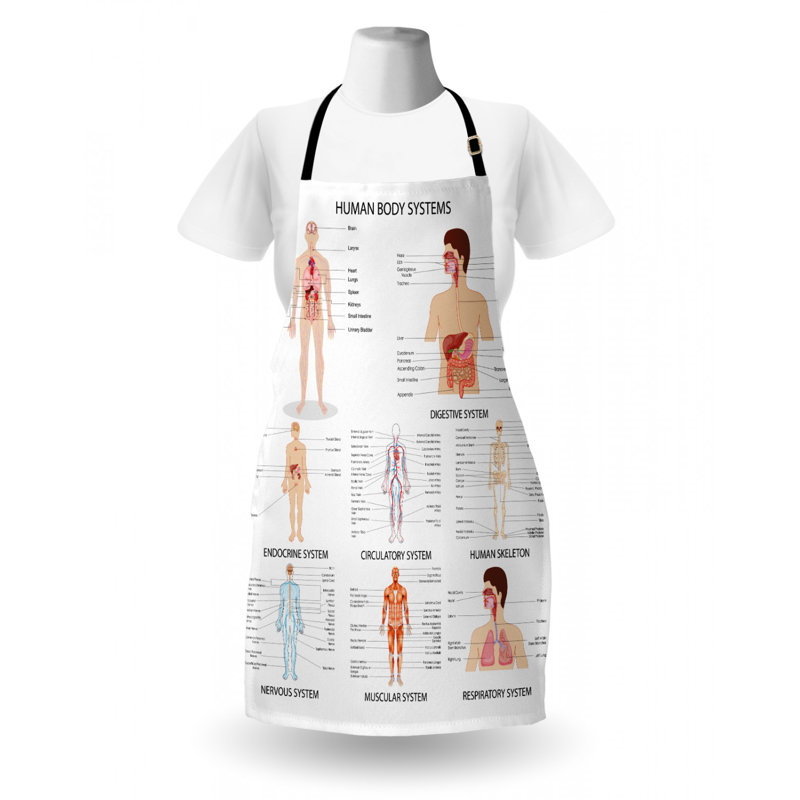 Bib Apron