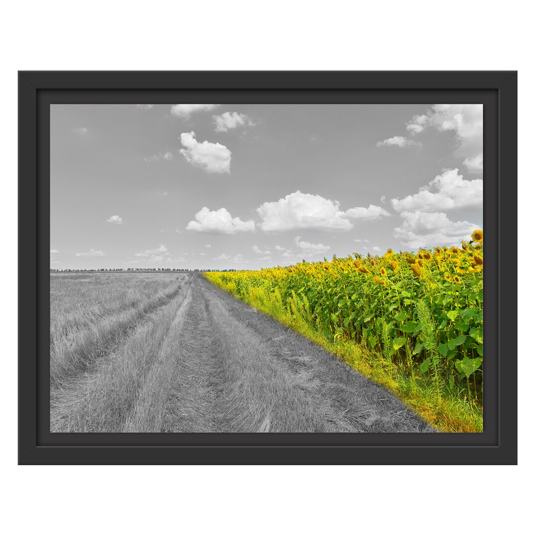 Gerahmtes Wandbild Feldweg  Sonnenblumen