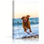 1 Piece Wrapped Canvas Wall Art