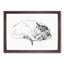 Sleeping Cat by Jean Bernard - Picture Frame Drawing Print-55619441-55619444