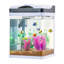 Aquarium aquarium à DEL 2 gallons