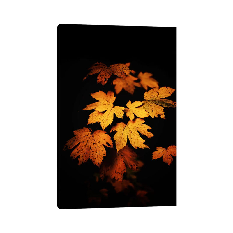Autumn Photo by Philippe Sainte-Laudy - Print on Canvas, Wrapped Canvas, 30.48 cm H x 45.72 cm W