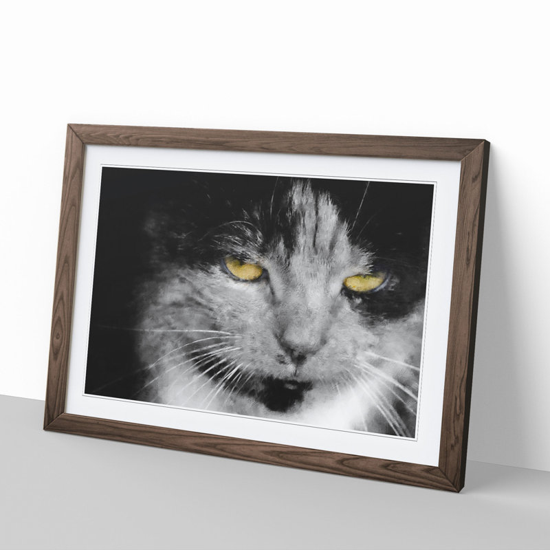 Portrait of a Cat Vol.4 - Framed Print, 27cm H x 36cm W x 2cm D, Walnut Framed