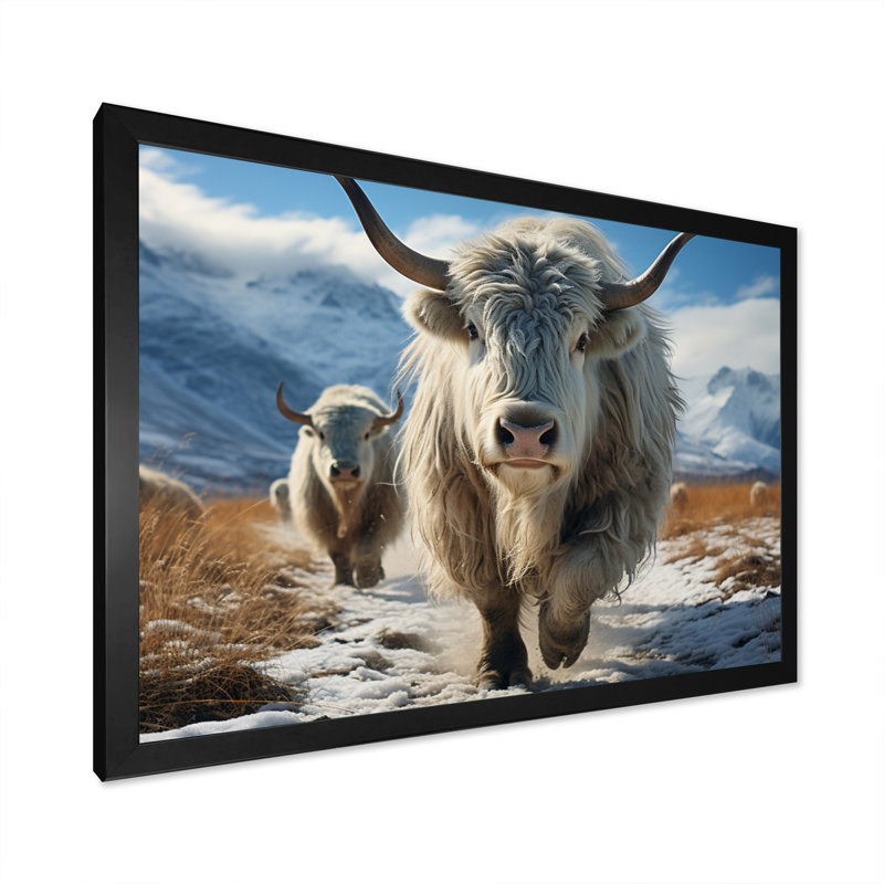 Yaks majestueux en hiver, Noir, H 16 po x l 32 po x P 1 po