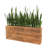 54'' Faux Cactus Hedge in Wood Planter