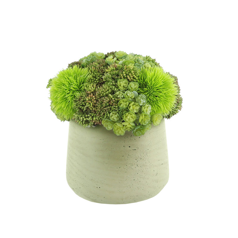 Rizal Faux Succulent in Fiberstone Pot, Beige