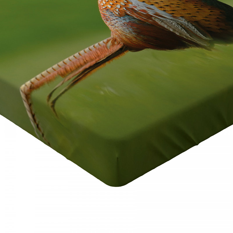 Microfiber Fitted Sheet, Twin Fitted Sheet