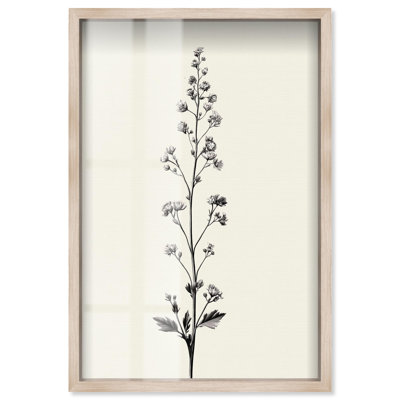 Echo of a Stem I Shadowbox Print Floral Wall Decor by Art Remedy, Blonde Frame, 37 x 55