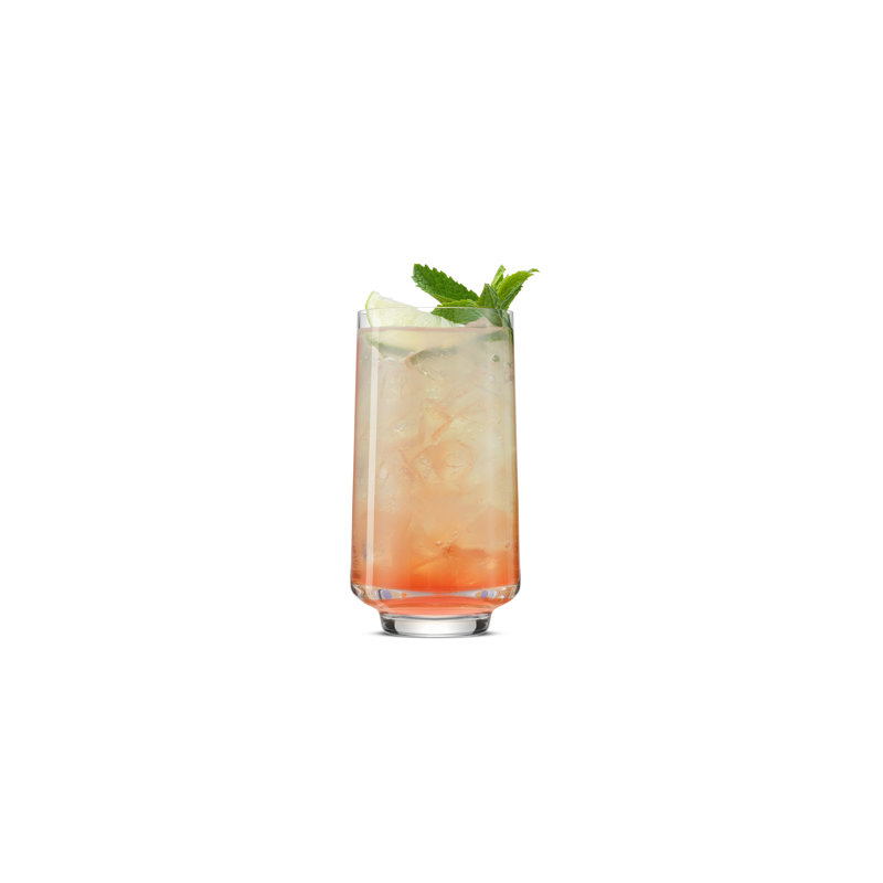 Sidney 16oz HB, Set of 4, Clear