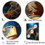 «Turtle with Starry Night Sky Above I», reproduction sur toile-161109572-161109599