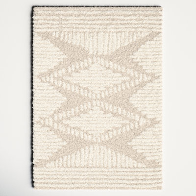 Hepfer Polyester Shag Rug