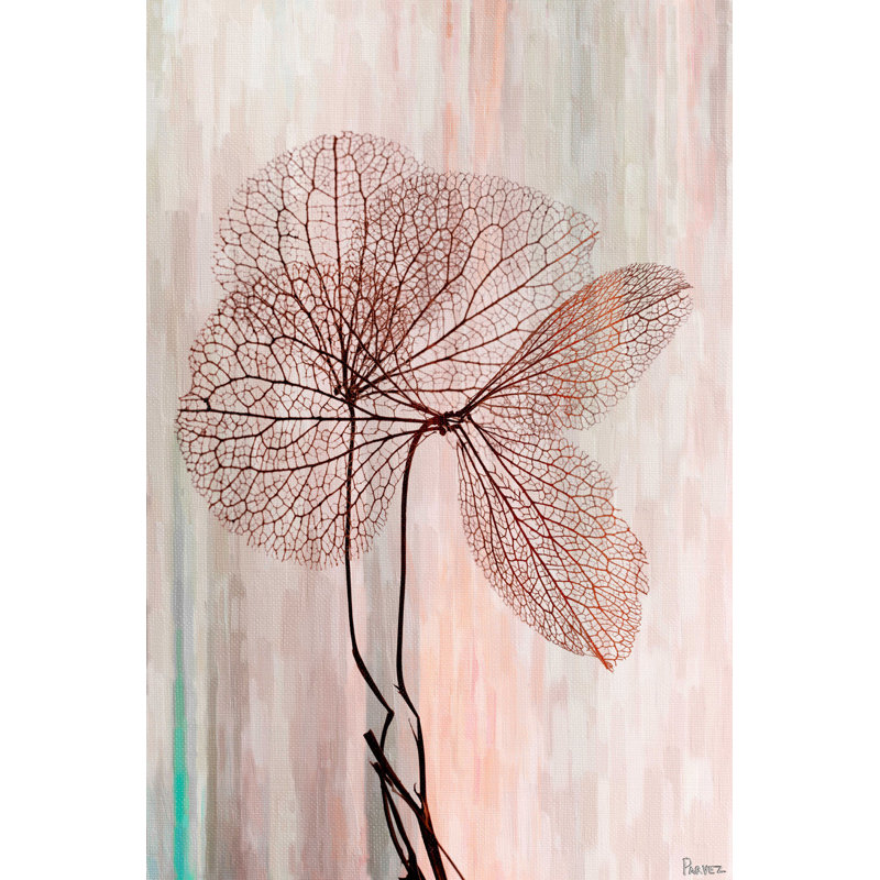 Parvez Taj - Wrapped Canvas Print, 152cm H x 101cm W x 5cm D