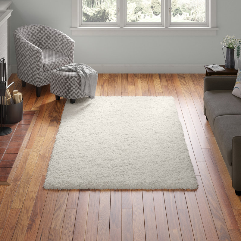 Tapis noir de jais Santoshi, Rectangle 5 pi 3 po x 8 pi, Snow White