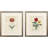 Favorite Flowers II Framed Art