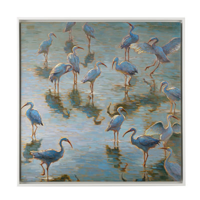 " Shorebirds "