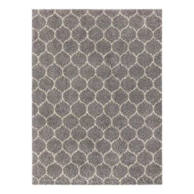 Geometric Indoor Rug