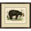 American Bear 2 Print