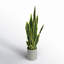 Artificial Sansevieria Snake Plant in Pot-1454465280