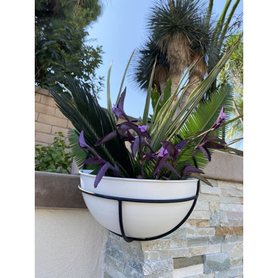Eivin Ceramic Wall Planter