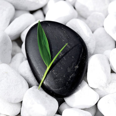 " Zen Stone "