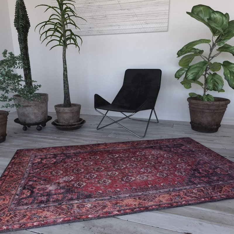 Premium Machine Washable Carpet, 4.6 x 6.2 Feet, 100% Polyester, 1850 g/m² | Pile Height: 0.2 Inches | Eco-Friendly Recycled Poly Cotton Underside | Perfect for Living Room, Bedroom, and High-Traffic Areas