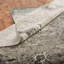 Tebikerei Abstract Area Rug in Ivory/Black-253782359