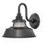 Troyer 1-Light Outdoor Wall Lantern-1995108943-1945962912