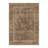 Luthien Elegant Vintage Floral Area Rug in Brown-79152418