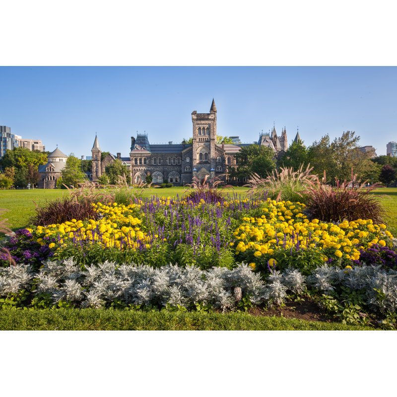 University In Toronto - Wrapped Canvas Print, 51cm H x 76cm W