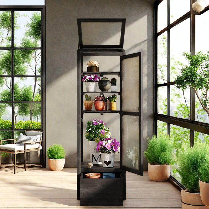 Black Fir Wood Garden Greenhouse with Adjustable Shelves and Storage Box