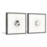 Planetary Evolution by Marmont Hill - 2 Piece Single Picture Frame Painting Set