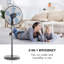Summerjam Oscillating Pedestal Fan-817023369