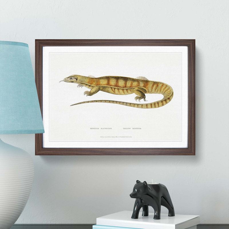 Yellow Monitor Lizard by John Edward Gray - Picture Frame Painting Print, 27cm H x 36cm W x 2cm D, Walnut Framed