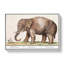 Asian Elephant by A.B. De Boodt - Wrapped Canvas Painting-55316466