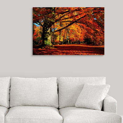 « the tree », reproduction de photo sur toile