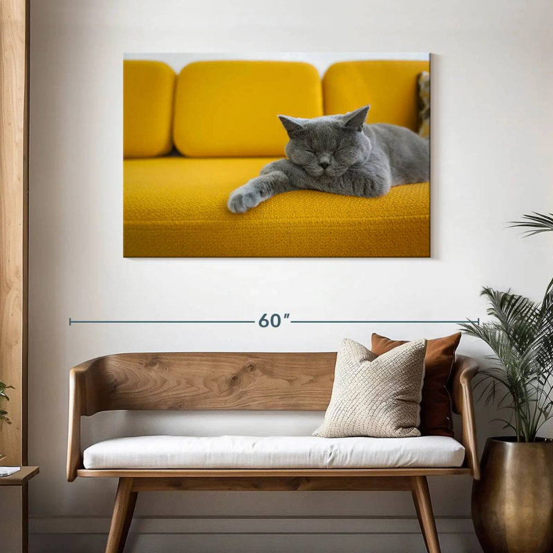 Chat Brampt sur canapé, H 30 po x l 45 po