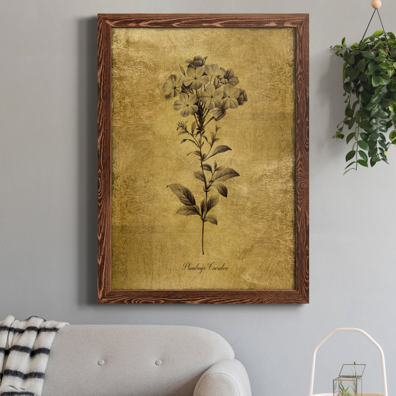 Toile encadrée dorée «Botanical II» de qualité supérieure - prête à être accrochée, H 20 po x l 17 po x P 1,5 po, Érable